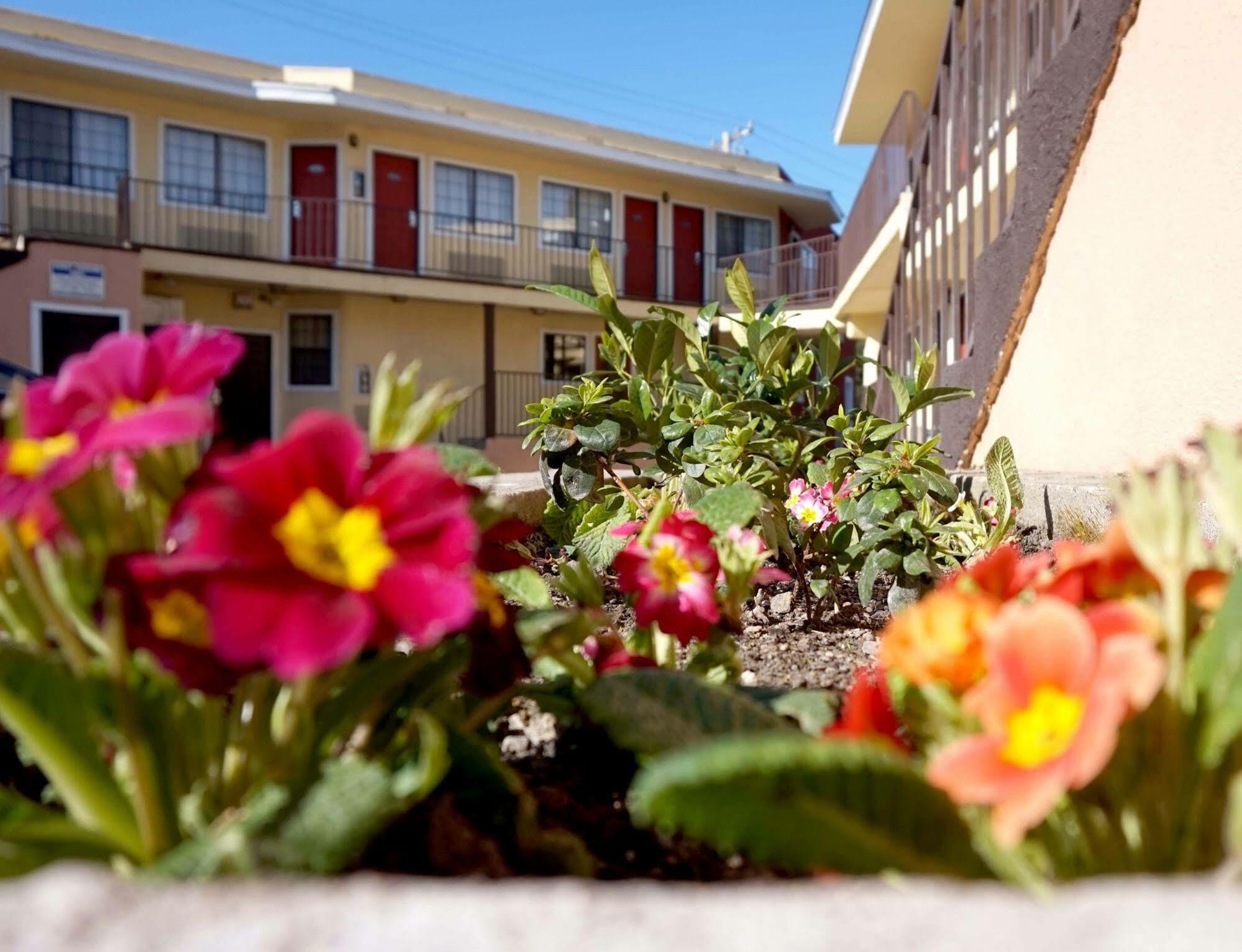 Piedmont Place Motel โอ๊กแลนด์ ภายนอก รูปภาพ