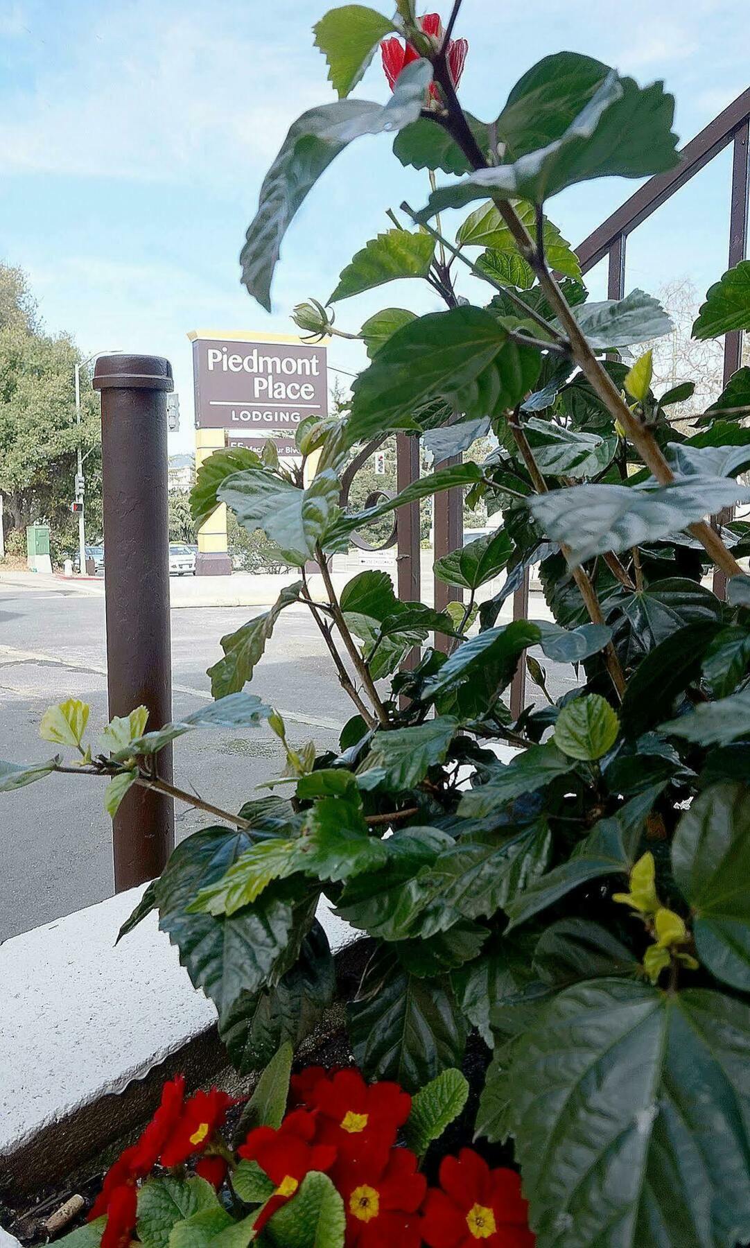 Piedmont Place Motel โอ๊กแลนด์ ภายนอก รูปภาพ